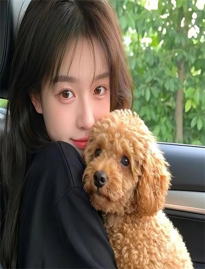 2026暑期档《锦绣美人谋》：市场表现分析